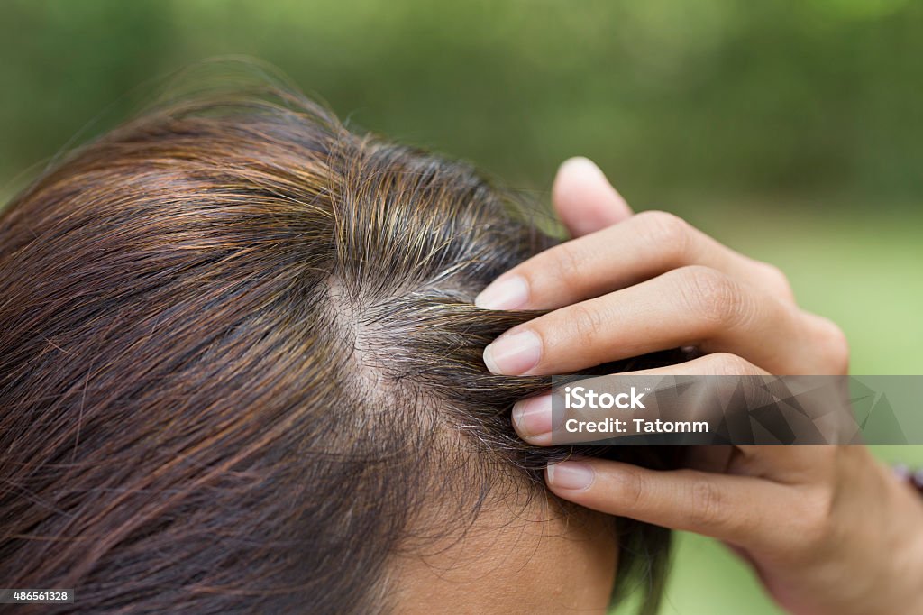 Junge Frau zeigt ihre Graues Haar Wurzeln - Lizenzfrei Graues Haar Stock-Foto