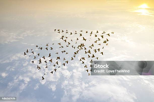 Foto de As Aves No Céu Crescimento Conceito De Desenvolvimento e mais fotos de stock de Trabalho de Equipe