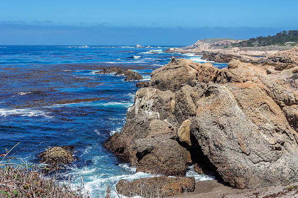 istock Rock and unusual geological formations at low tide 486565988