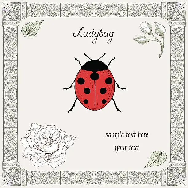 Vector illustration of ladybug and rose drawing