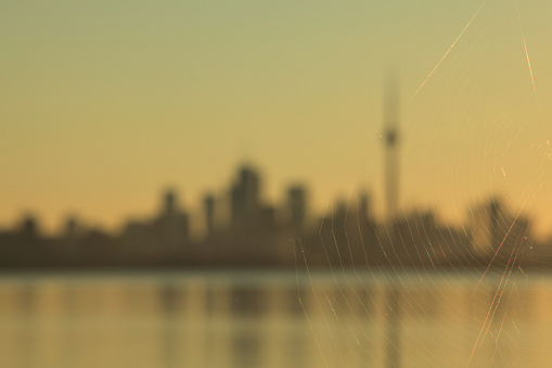 Defocused city of Toronto with a spider web on the composition.
