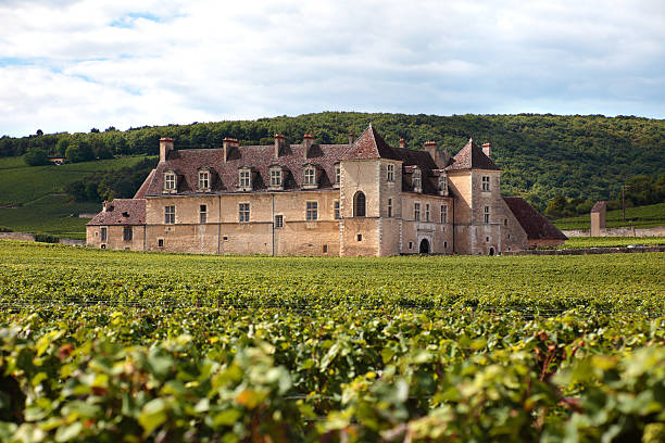 Typical French vineyard and chateau Burgundy,France - September 10, 2013: Landscape view of a typical sunlit vineyard in Burgundy, France with Chateau Clos Du Vougeot, stone walls and hills in the background. burgundy france stock pictures, royalty-free photos & images