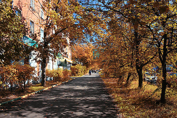 istock autumn landscape in Holland Park 486567114