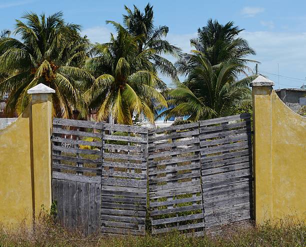 istock beach houses chelem mexico summer front door wall architecture 486567263