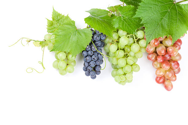 istock Bunch of red, purple and white grapes 486567666