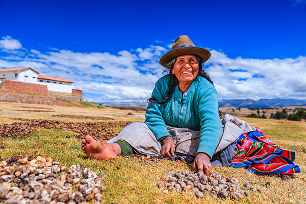 Peruvian woman preparing chuno - frozen potato, near Cuzco,Peru Chuño is a freeze-dried potato traditionally made by Quechua people. It is a five-day process, obtained by exposing a frost-resistant variety of potatoes to the very low night temperatures of the Andean Altiplano, freezing them, and subsequently exposing them to the intense sunlight of the day. chinchero district stock pictures, royalty-free photos & images