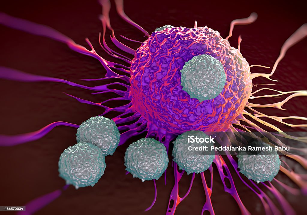 T-cells attacking cancer cell  illustration of  microscopic photos T-cells attacking cancer cell  illustration of  microscopic photosT-cells attacking cancer cell  illustration of  microscopic photos Cancer Cell Stock Photo