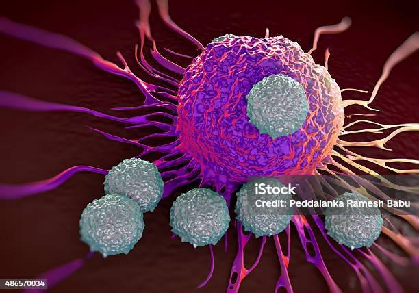 Tcells Attacking Cancer Cell Illustration Of Microscopic Photos Stock Photo - Download Image Now