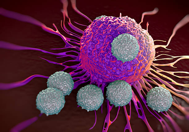 t-cells ataque célula cancerígena ilustração de bichinhos microscópicos fotos - tumor - fotografias e filmes do acervo