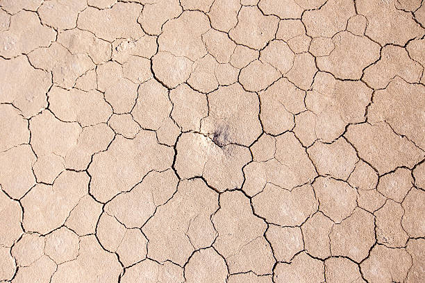 istock The Racetrack and Grandstand, Death Valley 486570193