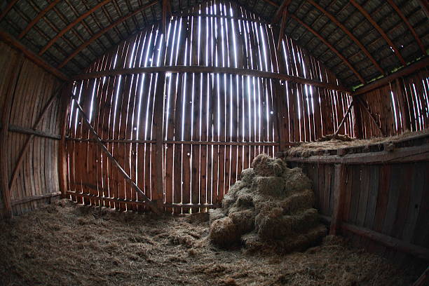 istock last reserves of hay in old barn 486570363