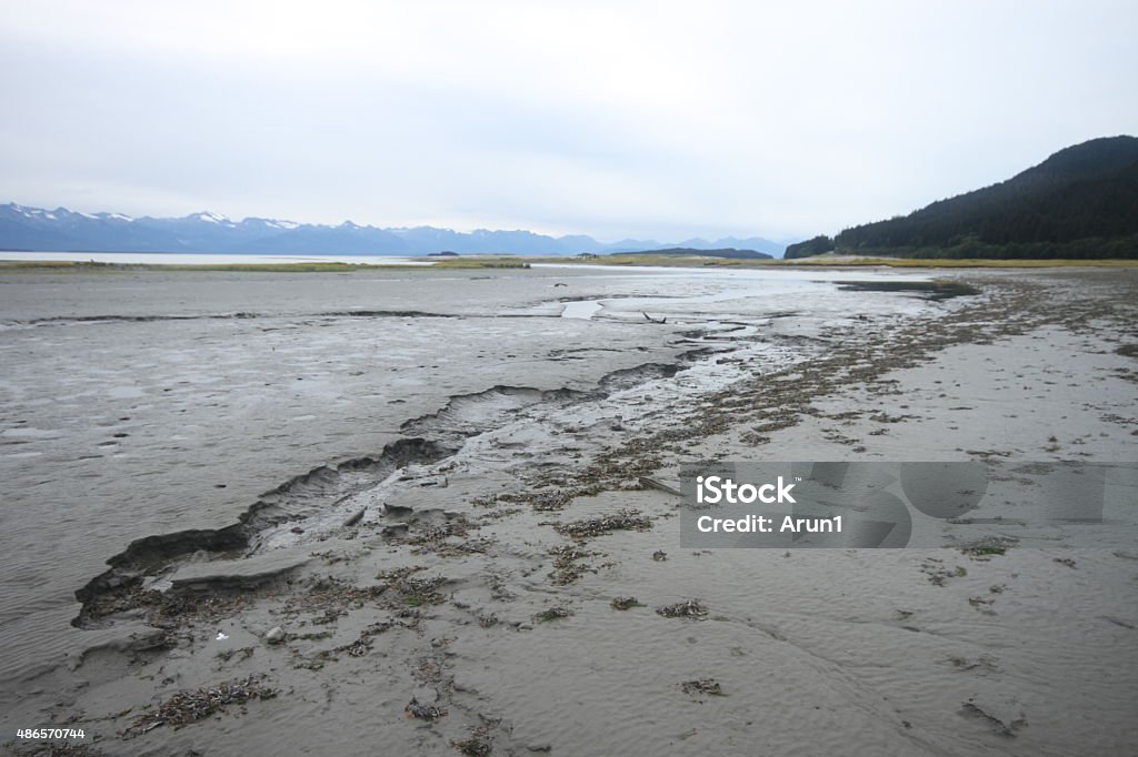 Eagle state beach, juneau alaska View of Eagle state beach, juneau alaska 2015 Stock Photo