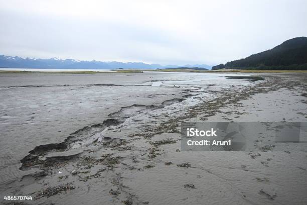 Eagle State Beach Juneau Alaska Stock Photo - Download Image Now - 2015, Beach, Eagle - Bird