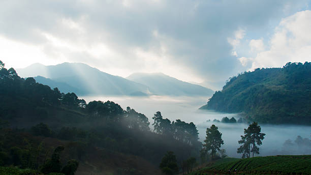 istock Mountain with mist landscape, Doi Ang Khang, Thailand 486571149
