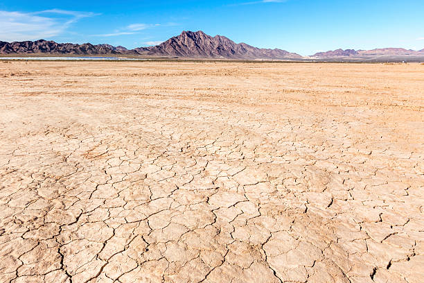 il letto di un lago prosciugato nel deserto - nevada usa desert arid climate foto e immagini stock