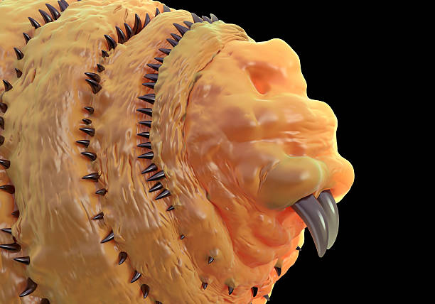 istock Botfly ,Bot fly larva or Gasterophilus parasitic fly larva 486571784