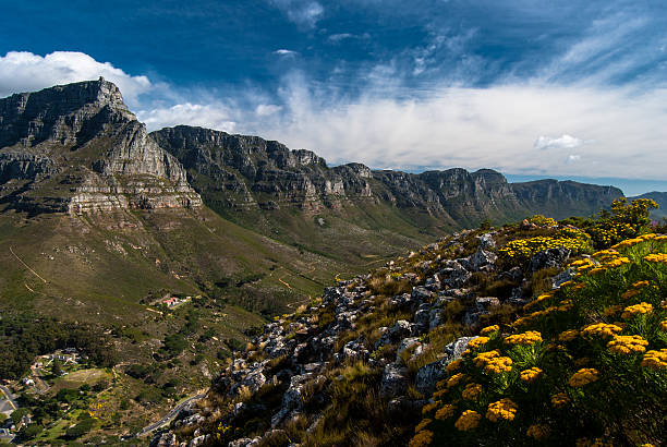 istock Table Mountain and The Twelve Apostles seen from Lion's Head 486571867
