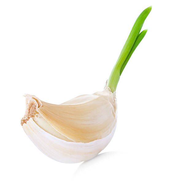 garlic garlic acrid taste stock pictures, royalty-free photos & images