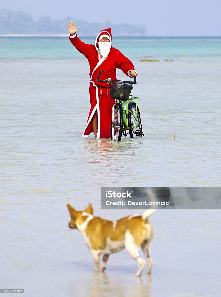 Santa i pies - Zbiór zdjęć royalty-free (Huśtać się)