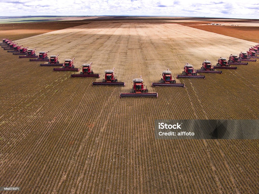 Soybean harvest CAMPO VERDE, MATO GROSSO, BRAZIL - MARCH 02, 2008: Mass soybean harvesting at a farm in Campo Verde Agriculture Stock Photo