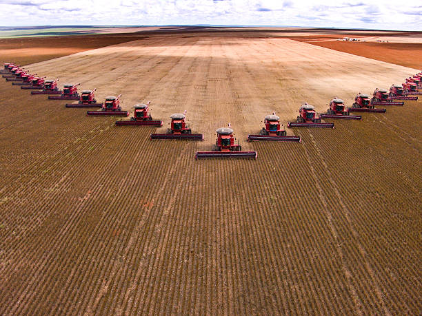 Soybean harvest CAMPO VERDE, MATO GROSSO, BRAZIL - MARCH 02, 2008: Mass soybean harvesting at a farm in Campo Verde harvesting stock pictures, royalty-free photos & images