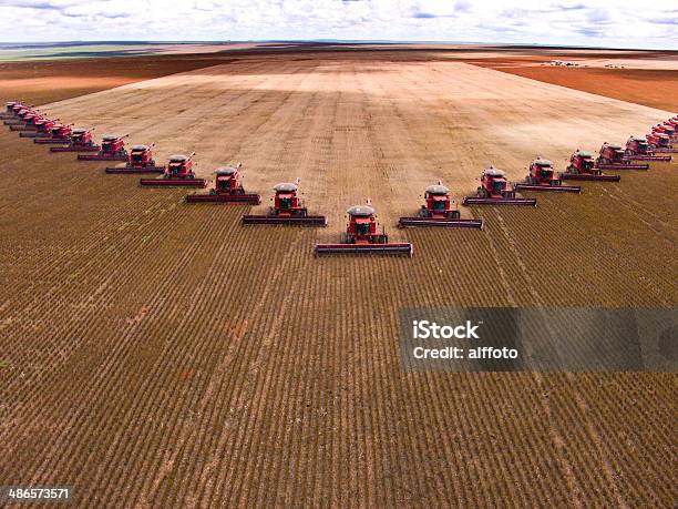 Soybean Harvest Stock Photo - Download Image Now - Agriculture, Soybean, Harvesting