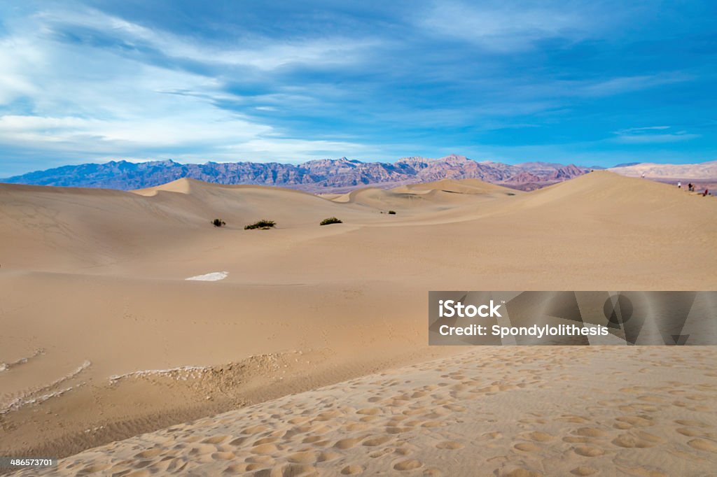 Dune di sabbia e Mesquite, Valle della Morte - Foto stock royalty-free di Ambientazione esterna