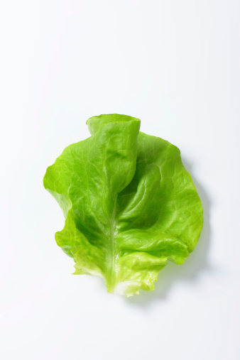 butterhead lettuce leaf isolated on white background