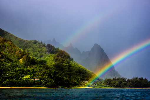 Rainbow palm trees and water line in Hawaii