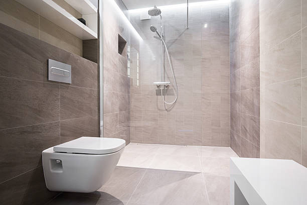 istock Close-up of toilet 486575416