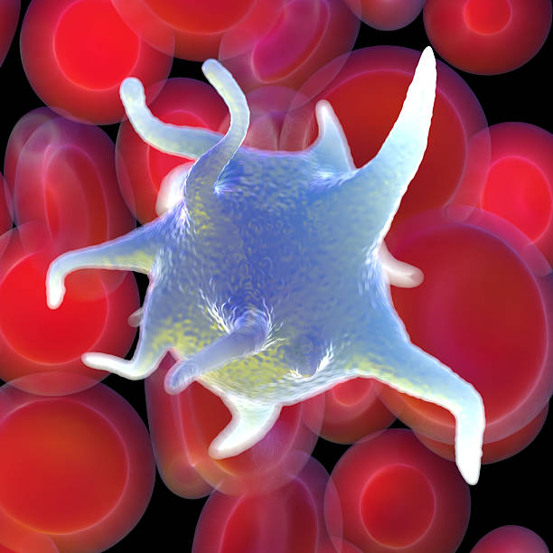istock red blood cells,activated platelet and white blood cells 486575826