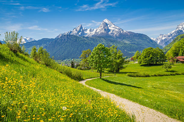 idyllische landschaft der alpen mit mountain weiden im frühjahr - european alps germany landscaped spring stock-fotos und bilder