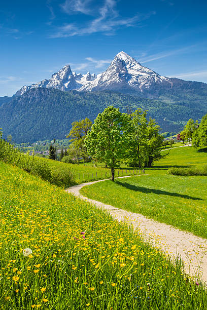 idyllische landschaft der alpen mit mountain weiden im frühjahr - watzmann stock-fotos und bilder