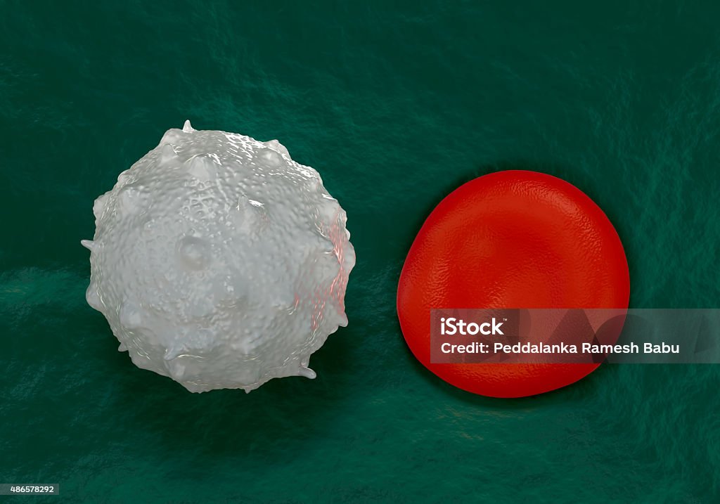 red blood cells,activated platelet and white blood cells red blood cells,activated platelet and white blood cells microscopic photos 2015 Stock Photo