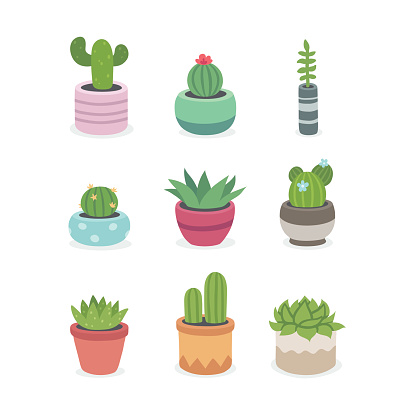 Cactus and succulent plants in pots. Illustration set of hand drawn cacti and succulents growing in cute little pots. Simple cartoon vector style.