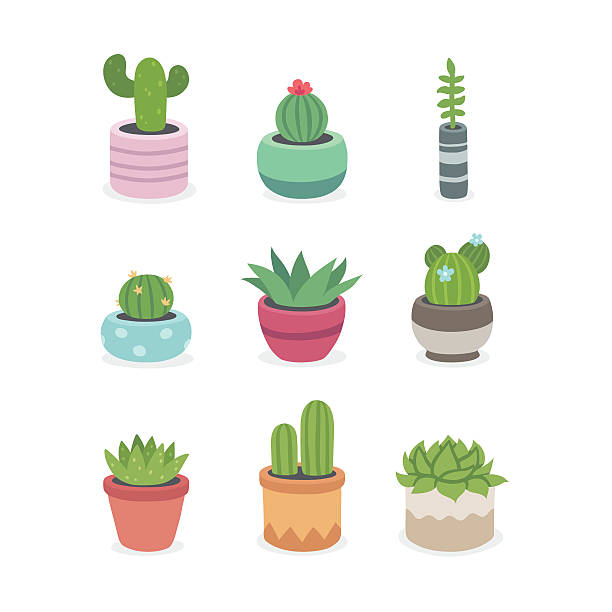Cactus and succulent plants in pots Cactus and succulent plants in pots. Illustration set of hand drawn cacti and succulents growing in cute little pots. Simple cartoon vector style. cactus stock illustrations