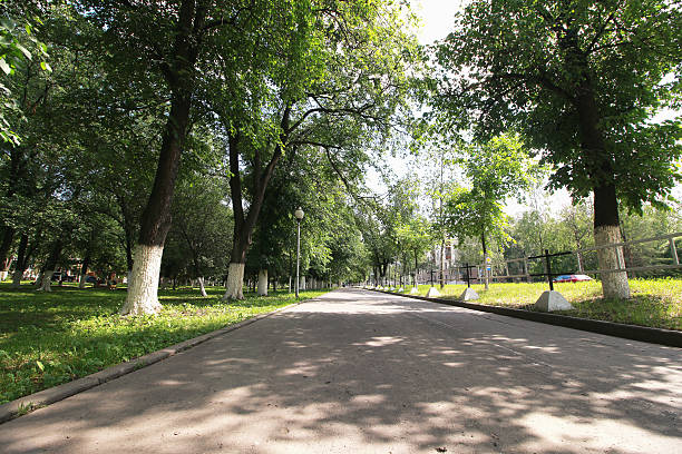 istock landscape park in the city summer 486579736