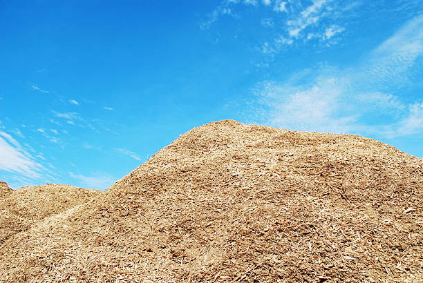 istock Pile of wood chips 486584090