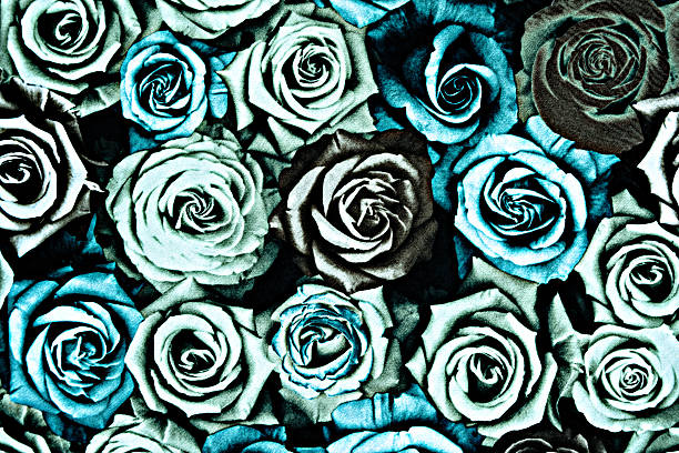 istock texture fabric of rose for background 486584098