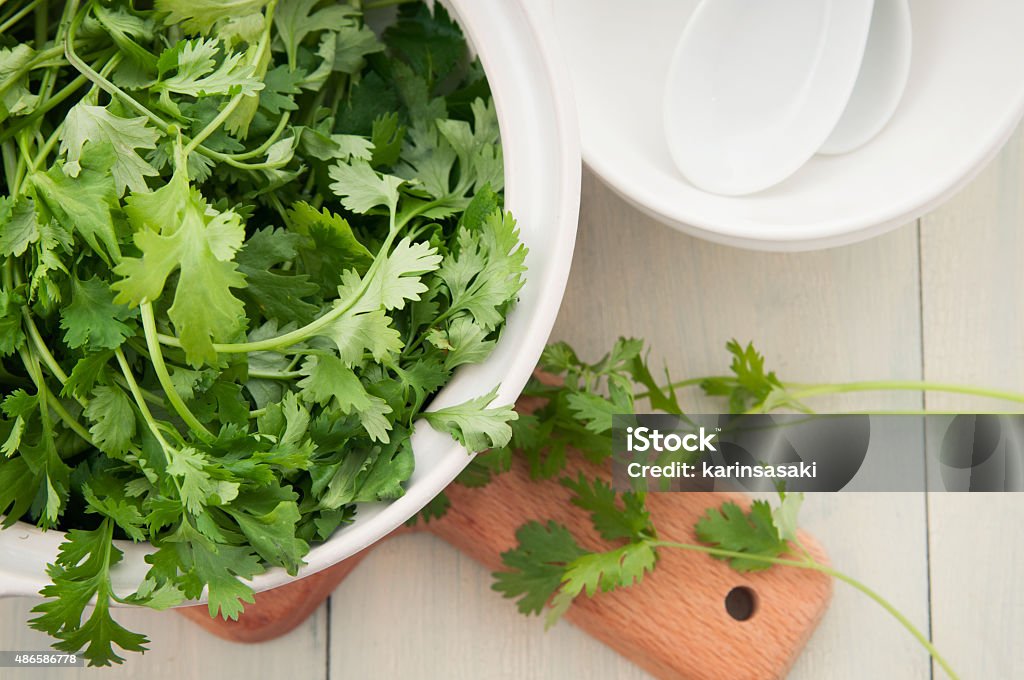 Many coriander which are in the earthenware pot 2015 Stock Photo