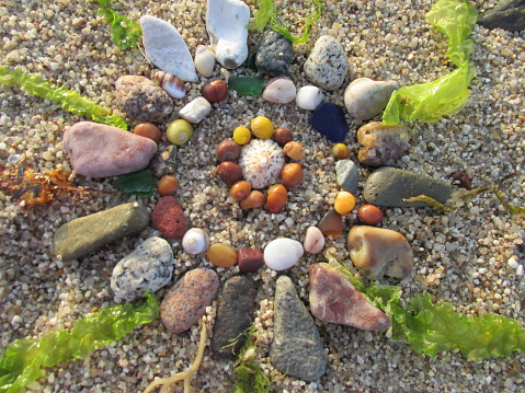 This is a mandala that I made on the beach using shells, stones and sea weed.