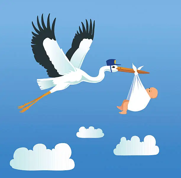 Vector illustration of Stork Flying And Carrying Little Baby