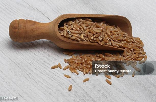 Ancient Grain Kamut Khorasan Wheat Triticum Turgidum Polonicum Stock Photo - Download Image Now