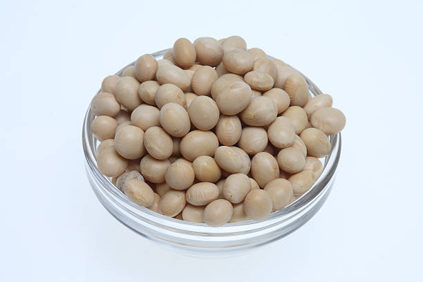 istock Soybean, Glycine max, from organic production 486590948