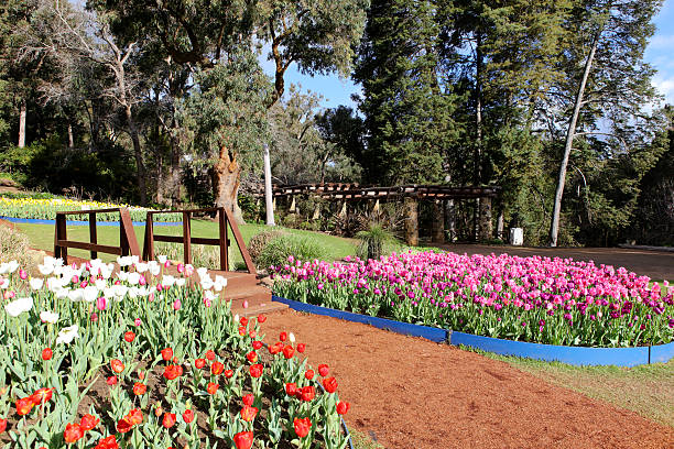 Araluen Botanic Gardens, Roleystone, Western Australia stock photo