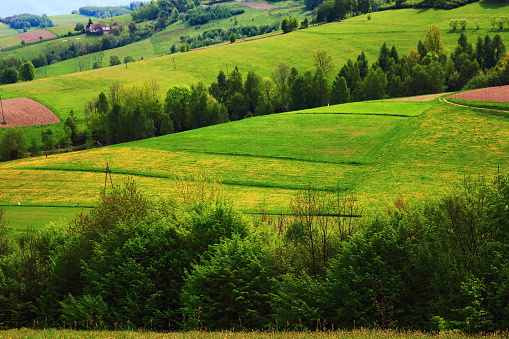 Spring.  Green farm fields on Hills in Beskidy Mountains. Poland.