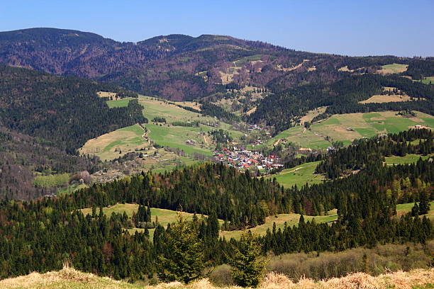 istock Spring. Village in Mountains. Pieniny, Poland. 486597513