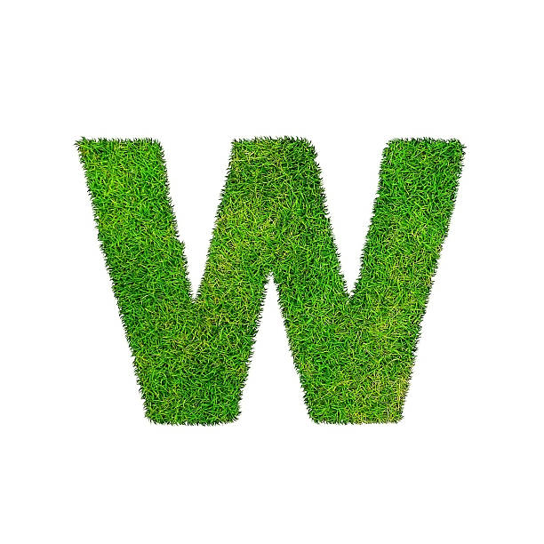 istock W grass letter isolated on white background 486599888