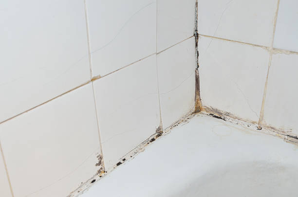 Mold in bathroom Mold and scale on old bathroom walls mildew stock pictures, royalty-free photos & images
