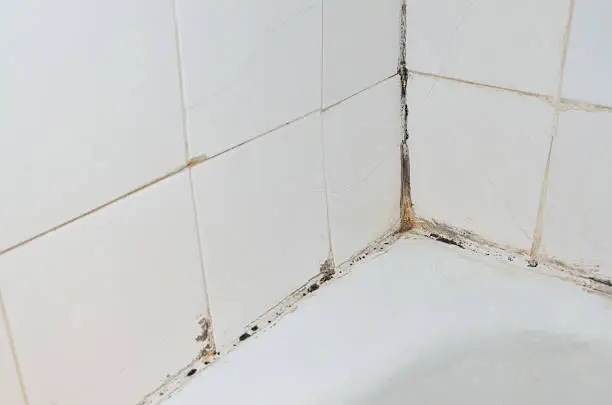 Mold and scale on old bathroom walls